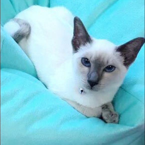 Meet your Posher, Kristen - Picture 3 of 3